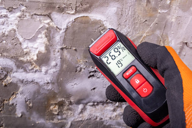Best Mold Testing and Inspection Services in Friona, TX