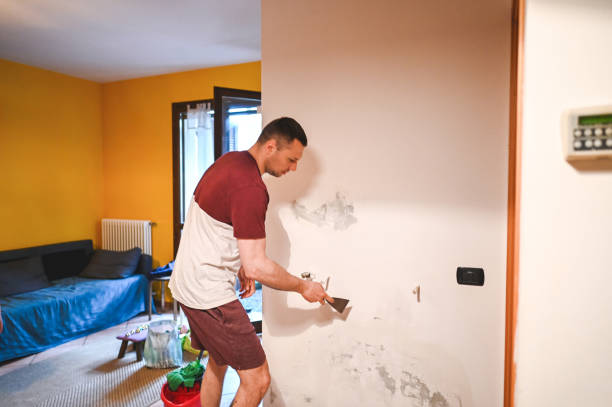 Best Mold Testing and Inspection Services in Friona, TX